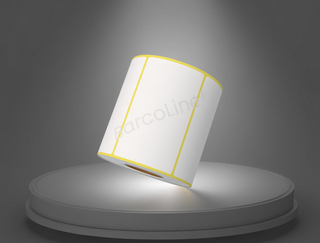 100x60 mm  Direct Thermal Label Sticker (DT)
