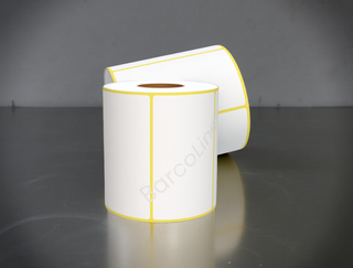 100x60 mm  Direct Thermal Label Sticker (DT)